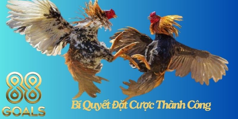 Bí Quyết Đặt Cược Thành Công Cho Người Mới