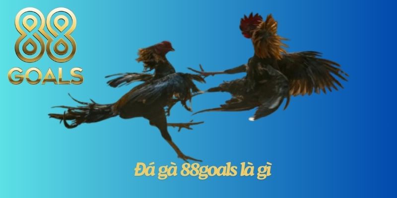 Đá gà 88goals là gì